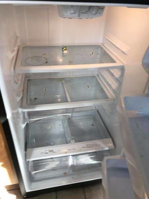 Before and After Refrigerator Cleaning in East Orange, NJ (1)